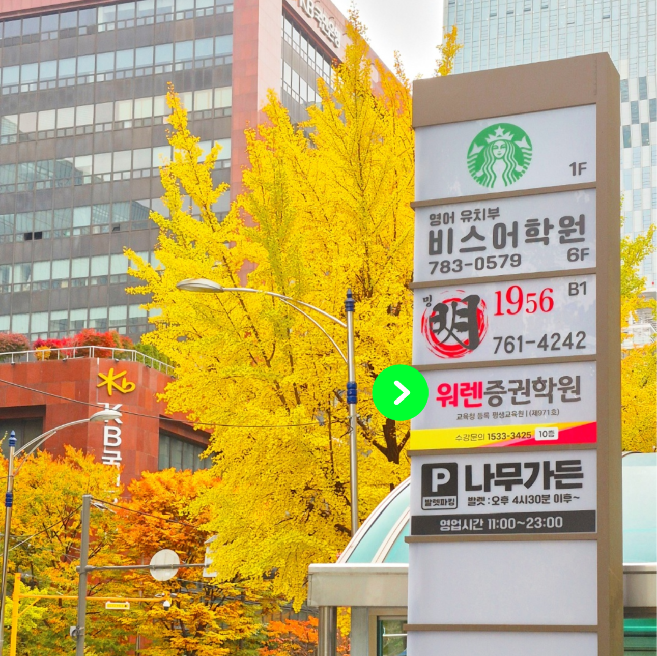 25년11월8일 가을 단풍 무르익은 여의도 워렌증권학원